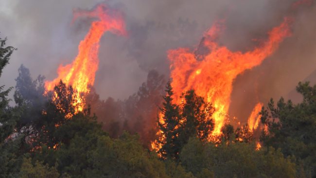 La stagione degli incendi il difficile lavoro dei Vigili del Fuoco in estate