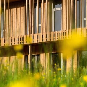 Dettaglio di un edificio in legno di architettura contemporanea immerso nel verde, con fiori gialli ed erba che appaiono in primissimo piano fuori fuoco