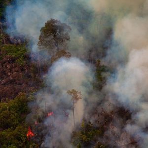 Gli incendi in Amazzonia