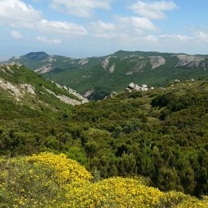 La zona del Montiferru, interessata dagli ultimi incendi che hanno interessato la Sardegna