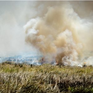 Incendio nella Savana africana