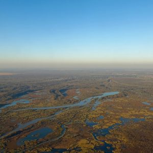 Vista dall'alto sulle paludi del delta del Mississippi, in Louisiana, vicino a New Orleans