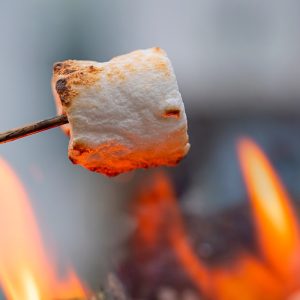 Primo piano su un marshmallow su uno spiedo che si sta scaldando e abbrustolendo tra le fiamme di un falò