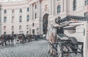 Delle carrozze con cavalli in fila davanti al Palazzo Imperiale di Vienna