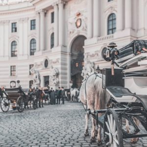 Delle carrozze con cavalli in fila davanti al Palazzo Imperiale di Vienna