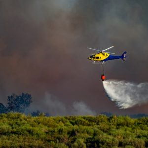 Un elicottero giallo e blu sta gettando acqua su un bosco durante un incendio