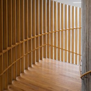 Uno spazio architettonico interno con una scala curva in legno dotata di corrimano su entrambi i lati. La scala è racchiusa da doghe verticali di legno su un lato e da un muro di cemento sull'altro. Le doghe in legno permettono alla luce di filtrare attraverso, creando un interessante gioco di luci e ombre sul pavimento e sulle pareti. Il pavimento e i corrimano sono realizzati nello stesso legno